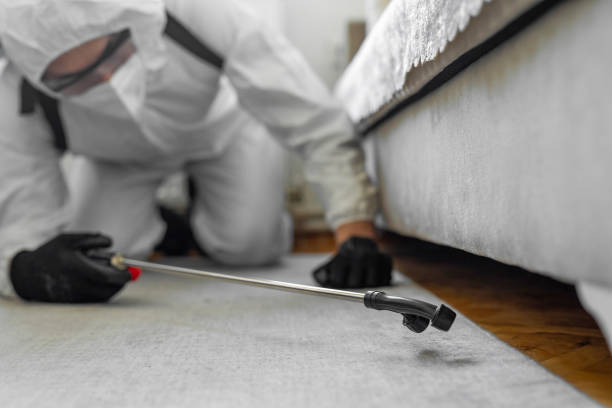 Professional Termite Control technician working in Minnetrista, MN